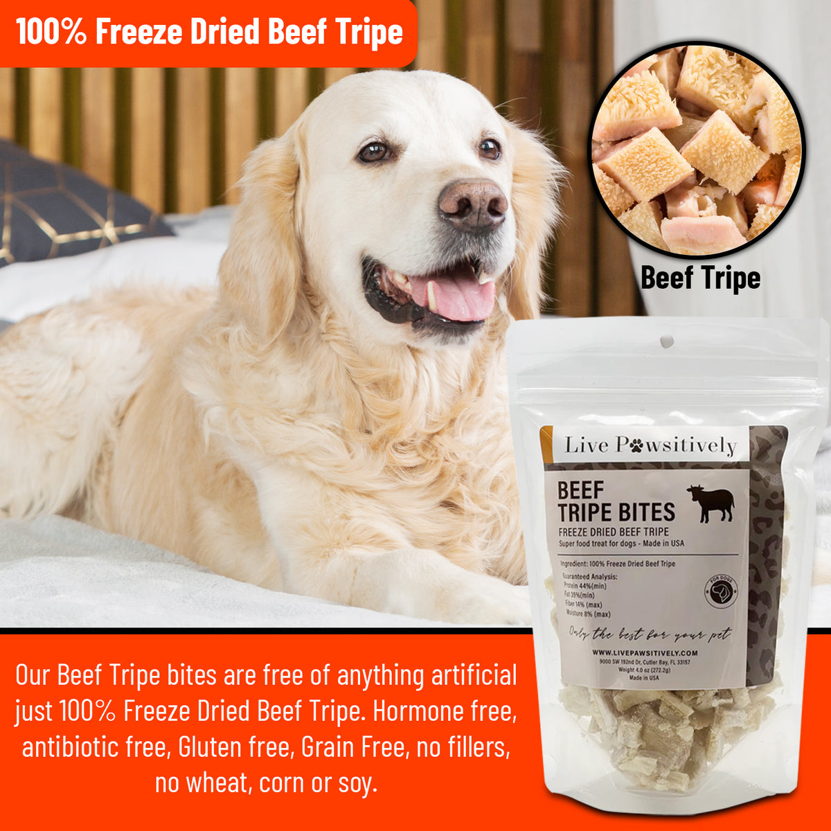 Freeze dried clearance tripe for dogs