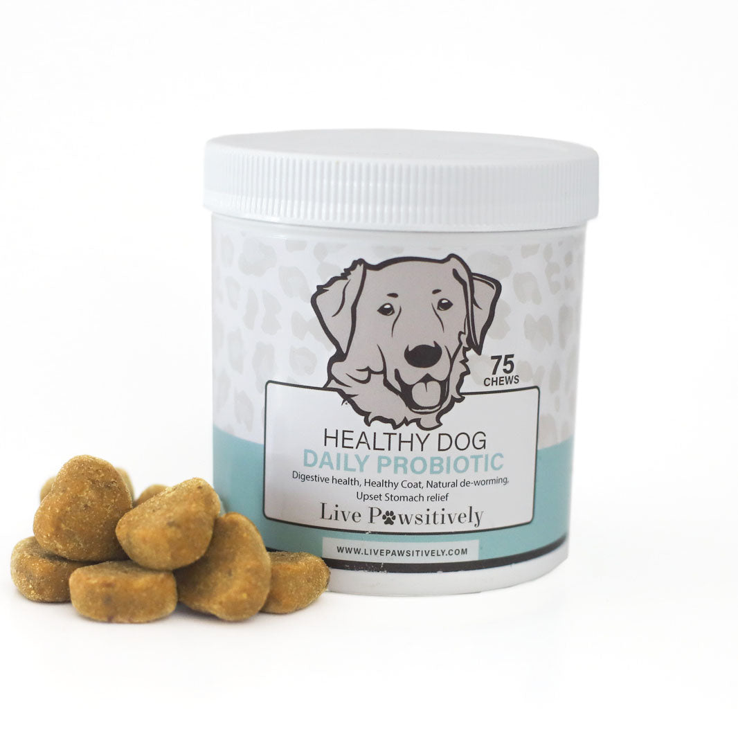 Healthy 2025 dog probiotics